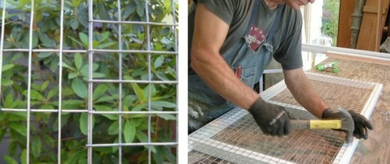 Common Mistakes to Avoid When Choosing Wire Mesh