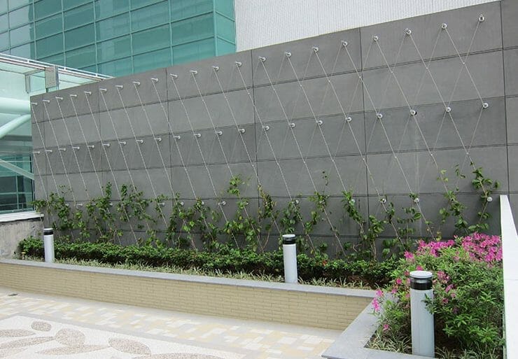 Enhance Your Garden with a Stainless Steel Wire Trellis