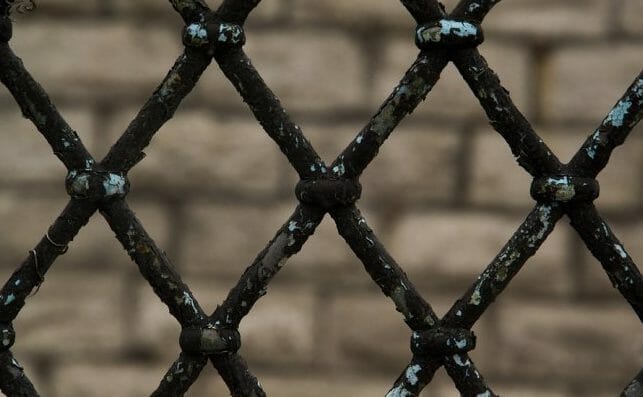 Maintenance of a Stainless Steel Chain Link Fence