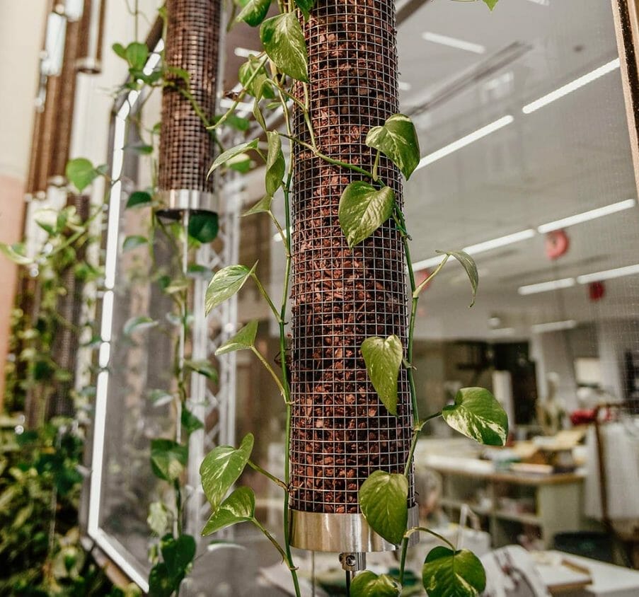 Other Stainless Steel Mesh Options