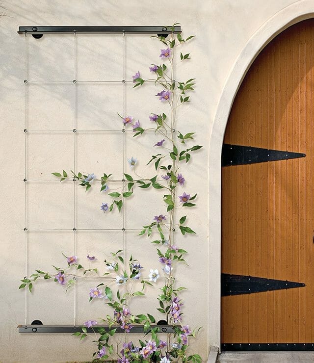 Versatility of Stainless Steel Wire Trellises