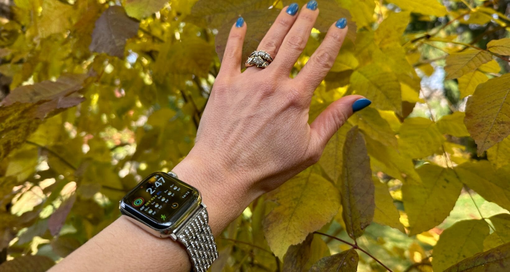 Different Styles of Stainless Steel Mesh Apple Watch Bands
