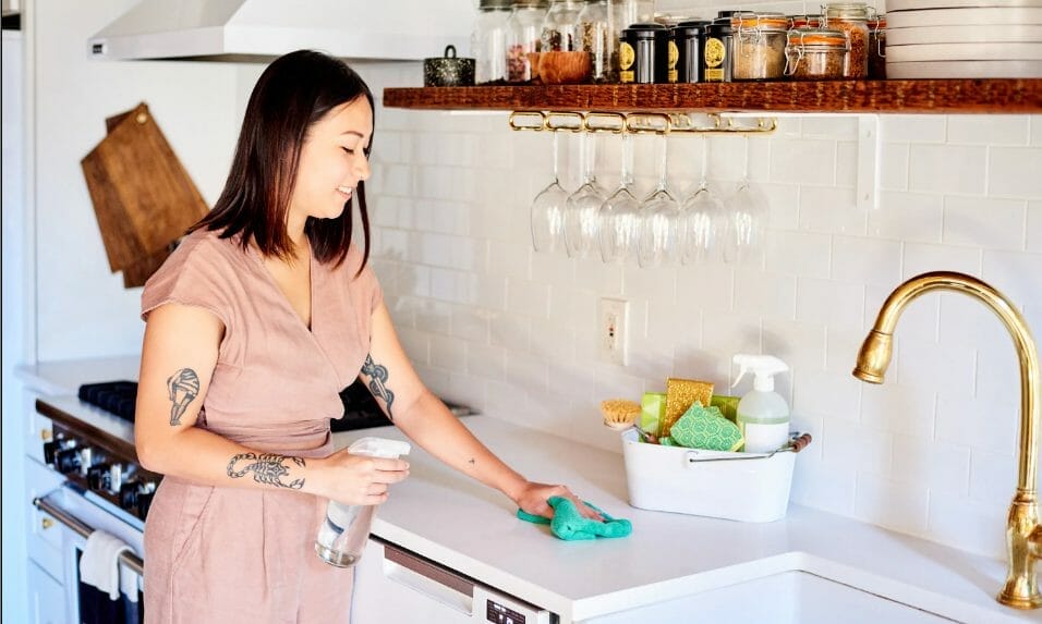 Cleaning and Maintenance