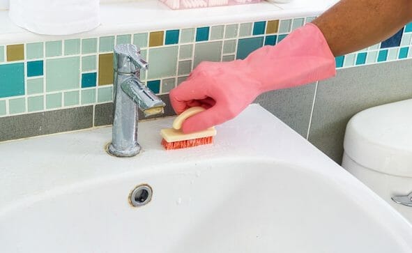 Maintaining a Mold-Free Environment