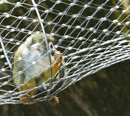 Maintaining and Cleaning Stainless Steel Chicken Wire
