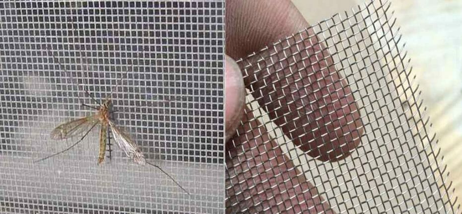 The Importance of Protecting Your Home